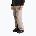 Pantaloni da sci da uomo The North Face Chakal stone slab