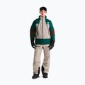 Pantaloni da sci da uomo The North Face Chakal stone slab 2