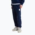 Pantaloni da uomo The North Face Evo Box Half Dome Regular Tappered summit navy 3