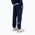Pantaloni da uomo The North Face Evo Box Half Dome Regular Tappered summit navy 4