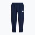 Pantaloni da uomo The North Face Evo Box Half Dome Regular Tappered summit navy 5