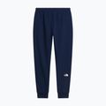 Pantaloni da uomo The North Face Evo Box Half Dome Regular Tappered summit navy 6