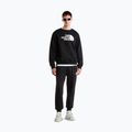 Pantaloni da uomo The North Face Evo Box Half Dome Regular Tappered tnf black 2