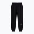 Pantaloni da uomo The North Face Evo Box Half Dome Regular Tappered tnf black 5