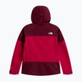 Giacca impermeabile da donna The North Face Gtx Jazzi lali guran/burgundy cru 6