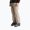 Pantaloni da sci da uomo The North Face Descendit stone slab