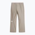 Pantaloni da sci da uomo The North Face Descendit stone slab 5