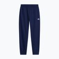 Pantaloni da uomo The North Face Evolution Simple Dome Regular Joggers summit navy 4