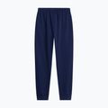 Pantaloni da uomo The North Face Evolution Simple Dome Regular Joggers summit navy 5