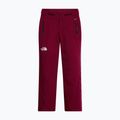 Pantaloni da sci da donna The North Face Lenado burgundy crush