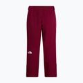 Pantaloni da sci da donna The North Face Lenado burgundy crush 2