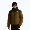 Giacca imbottita per bambini The North Face Reversible Shasta FZ Hooded caraway seed/bo