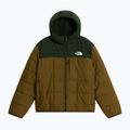 Giacca imbottita per bambini The North Face Reversible Shasta FZ Hooded caraway seed/bo 6