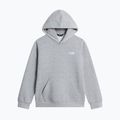 Felpa bambini The North Face Evolution Simple Dome Pullover Hood tnf pale grey heather