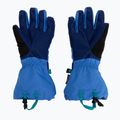 Guanti da sci per bambini The North Face Montana bold blue/active blue 2