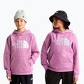 Felpa bambini The Noryh Face Essential Drew Peak Hoodie hushed lavender 3