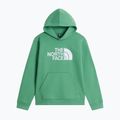 Felpa bambini The Noryh Face Essential Drew Peak Hoodie dimmed algae
