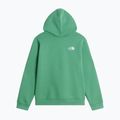 Felpa bambini The Noryh Face Essential Drew Peak Hoodie dimmed algae 2