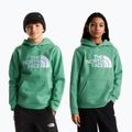 Felpa bambini The Noryh Face Essential Drew Peak Hoodie dimmed algae 3