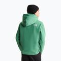 Felpa bambini The Noryh Face Essential Drew Peak Hoodie dimmed algae 5