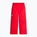 Pantaloni da sci per bambini The North Face Freedom Insulated elevation red 4