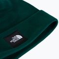 Cappello invernale The North Face Dock Worker Recycled Beanie hunter green 2