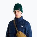 Cappello invernale The North Face Dock Worker Recycled Beanie hunter green 3