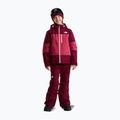 Pantaloni da sci per bambini The North Face Freedom Insulated burgundy crush 2