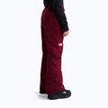 Pantaloni da sci per bambini The North Face Freedom Insulated burgundy crush 3