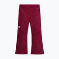 Pantaloni da sci per bambini The North Face Freedom Insulated burgundy crush 4