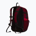Zaino urbano The North Face Hot Shot Se 30 l burgundy crush/lali gur 3