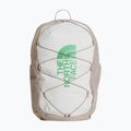 Zaino urbano The North Face Court Jester cumulus cloud/stone slab/dimmed algae