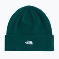 Cappello invernale The North Face Norm Beanie hunter green