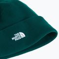 Cappello invernale The North Face Norm Beanie hunter green 2