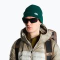 Cappello invernale The North Face Norm Beanie hunter green 3