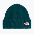 Cappello invernale The North Face Salty Lined pacific teal