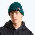 Cappello invernale The North Face Salty Lined pacific teal 3