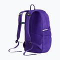 Zaino urbano The North Face Court Jester elevation purple 3
