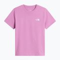 Maglietta per bambini The North Face Evolution Simple Dome SS Tee hushed lavender 4