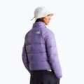 Piumino donna The North Face Hydrenalite Down grounded plum 3