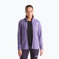 Pile uomo The North Face Glacier Fleece grounded plum 4