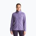 Pile uomo The North Face Glacier Fleece grounded plum