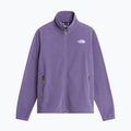 Pile uomo The North Face Glacier Fleece grounded plum 5
