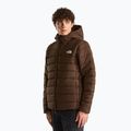 Giacca imbottita da uomo The North Face Aconcalgia Hooded dark chestnut 4