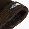 Cappello invernale The North Face Salty Lined dark chestnut 2