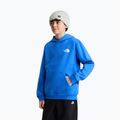 Felpa bambini The North Face Evolution Box NSE Pullover Hoodies active blue 5