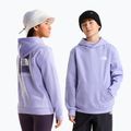 Felpa bambini The North Face Evolution Box NSE Pullover Hoodies pale plum