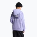 Felpa bambini The North Face Evolution Box NSE Pullover Hoodies pale plum 5