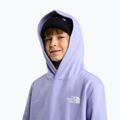 Felpa bambini The North Face Evolution Box NSE Pullover Hoodies pale plum 6