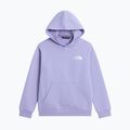 Felpa bambini The North Face Evolution Box NSE Pullover Hoodies pale plum 7